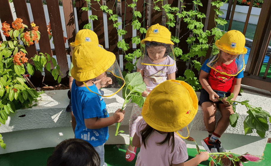 Chatsworth curriculum outdoor learning